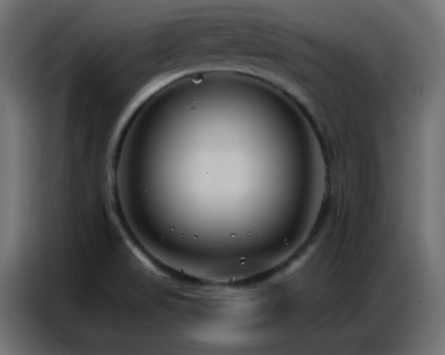 X0000086931517200704161413