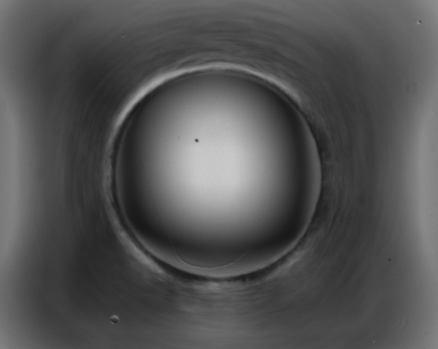 X0000086931518200704161413