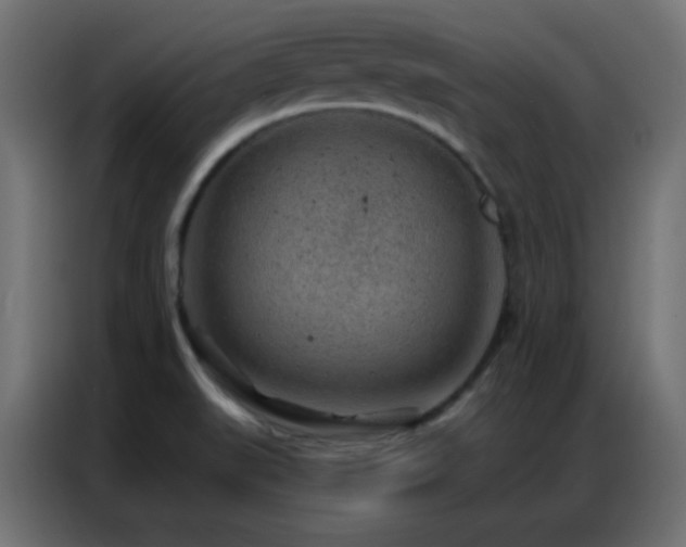 X0000086931519200704161413