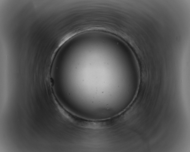 X0000086931521200704161413