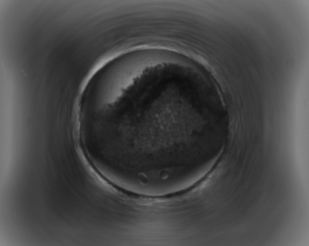X0000086931522200704161413