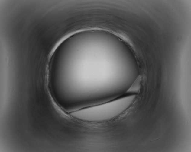 X0000086931524200704161413