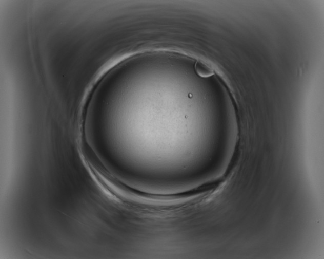 X0000086931525200704161413
