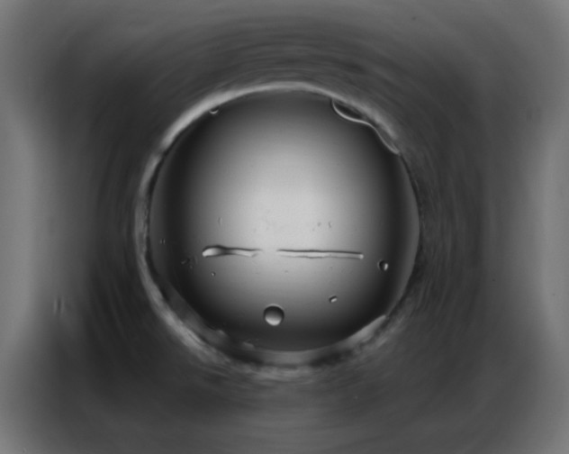X0000086931526200704161413