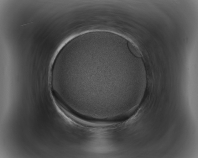 X0000086931527200704161413