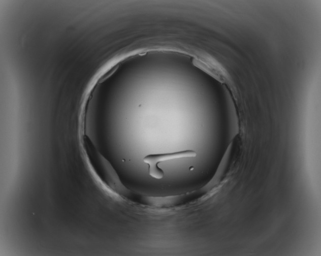 X0000086931528200704161413