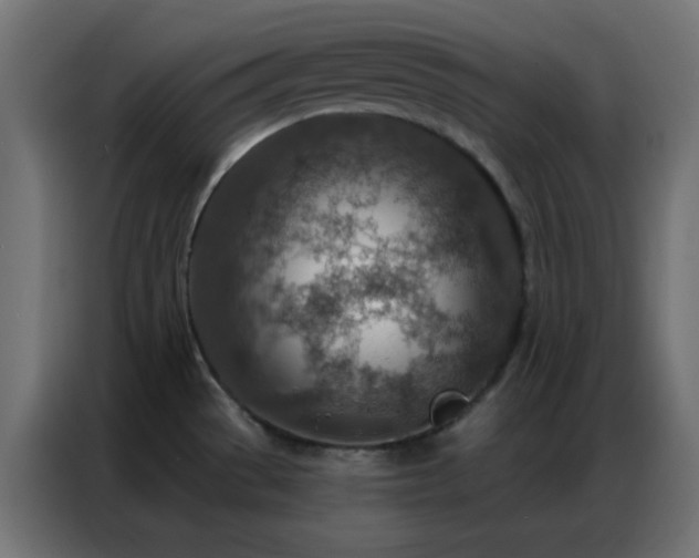 X0000086931529200704161413