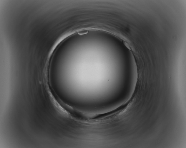 X0000086931530200704161413