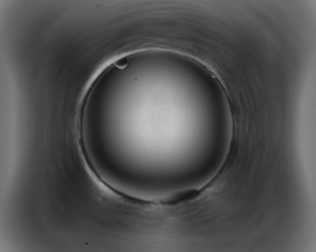 X0000086931531200704161413