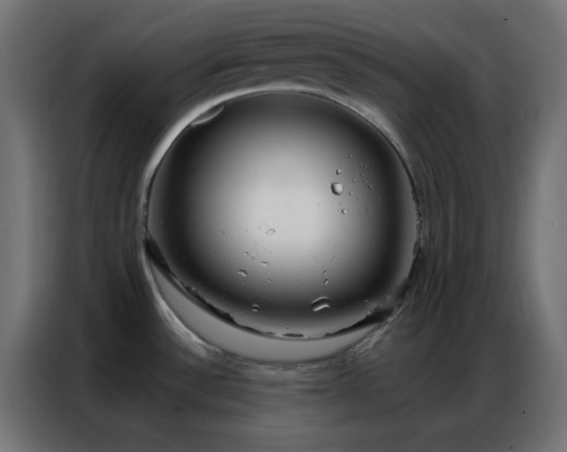 X0000086931532200704161413