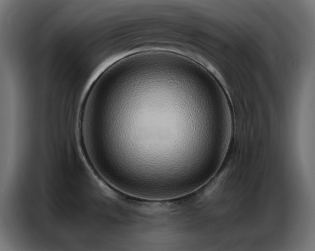 X0000086931533200704161413