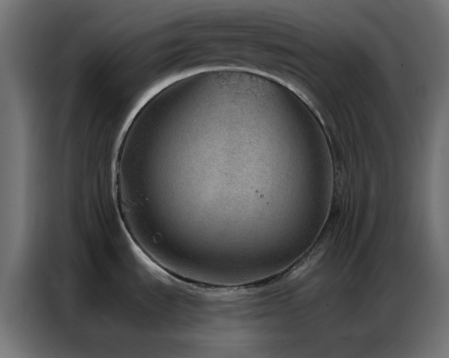 X0000086931535200704161413