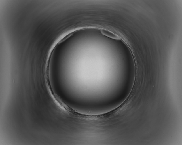 X0000086931536200704161413