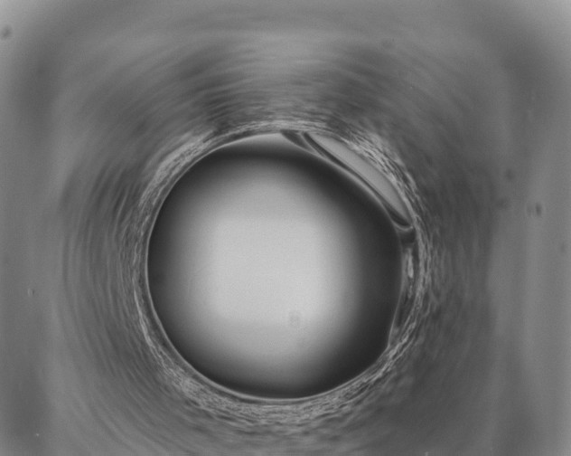 X0000086930001200704231342