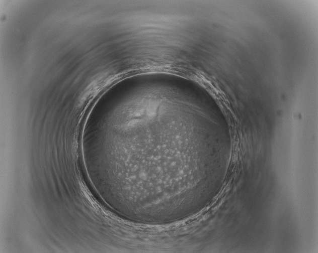 X0000086930002200704231342