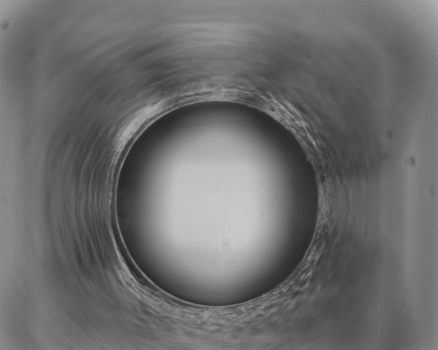 X0000086930003200704231342