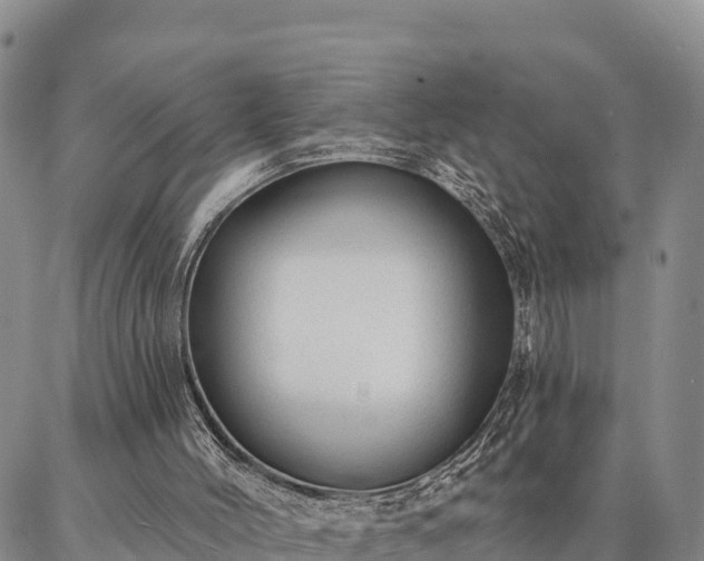 X0000086930004200704231342