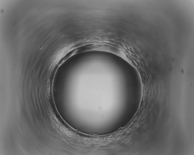 X0000086930005200704231342