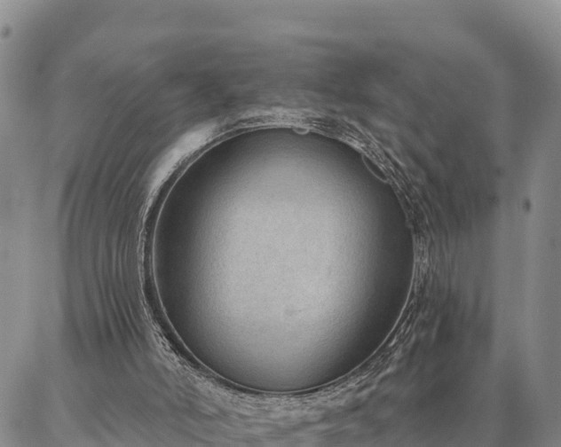 X0000086930006200704231342