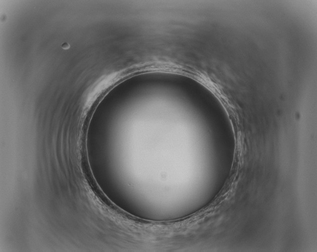 X0000086930007200704231342