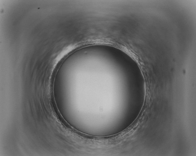 X0000086930008200704231342