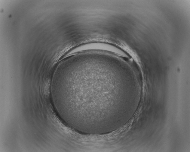 X0000086930009200704231342