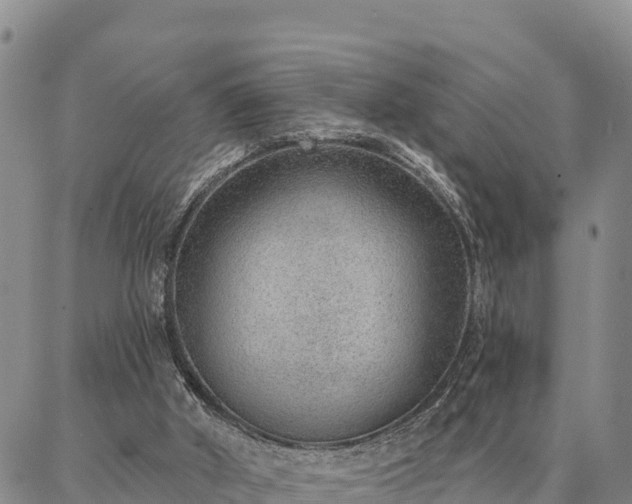 X0000086930010200704231342