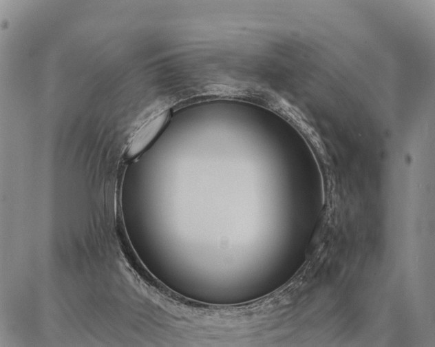 X0000086930011200704231342