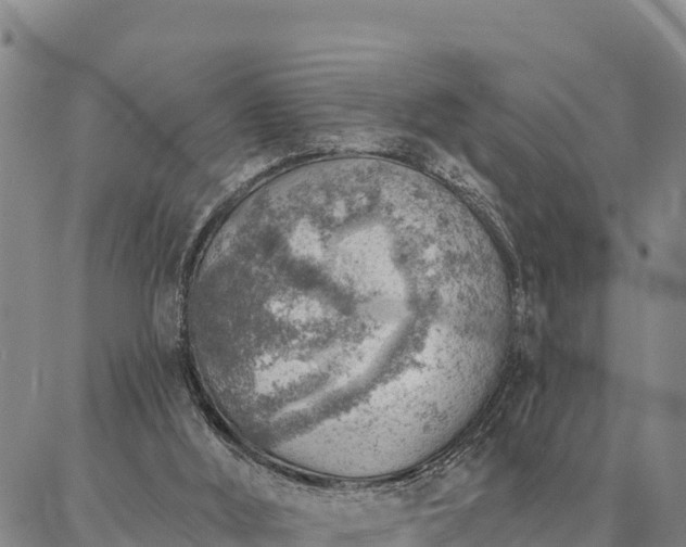 X0000086930012200704231342