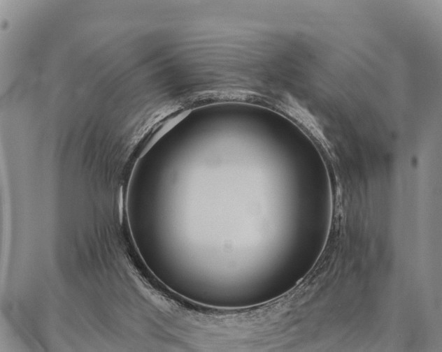 X0000086930013200704231342