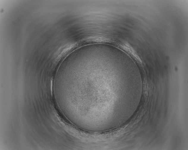 X0000086930014200704231342