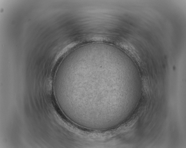 X0000086930016200704231342