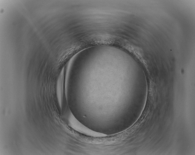 X0000086930017200704231342