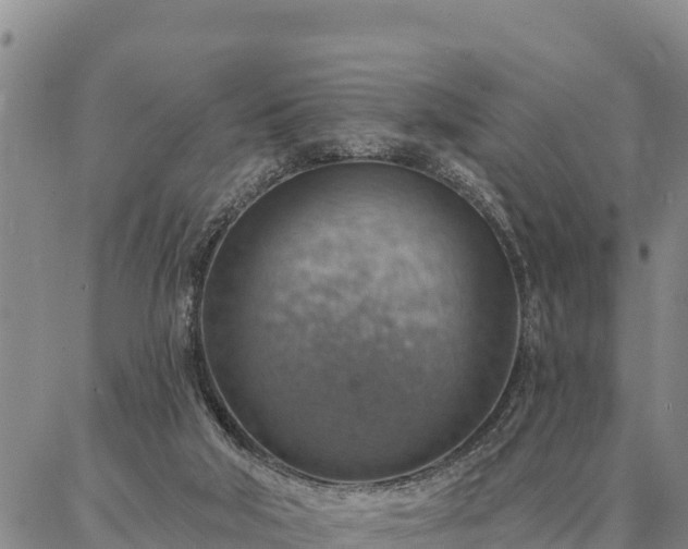 X0000086930018200704231342