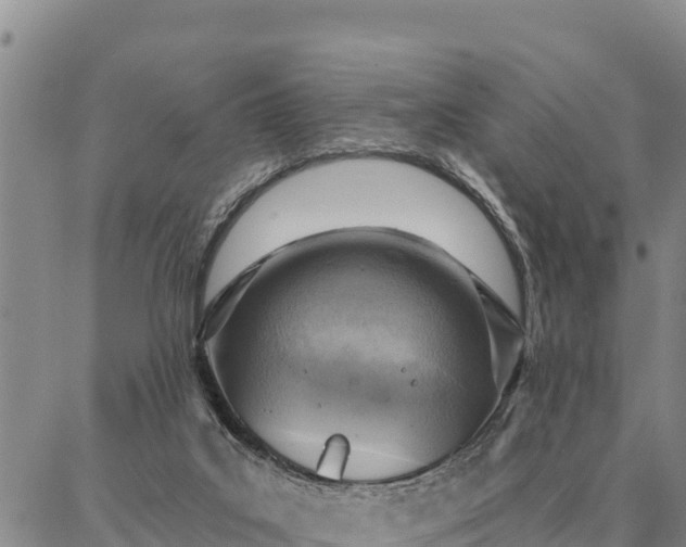 X0000086930019200704231342