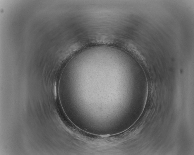 X0000086930020200704231342