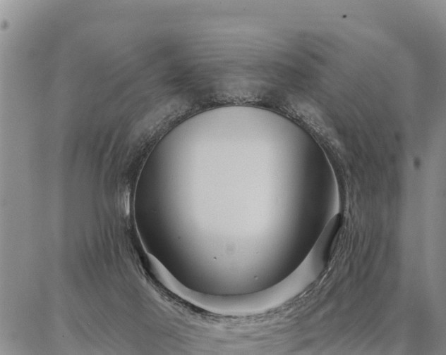 X0000086930021200704231342