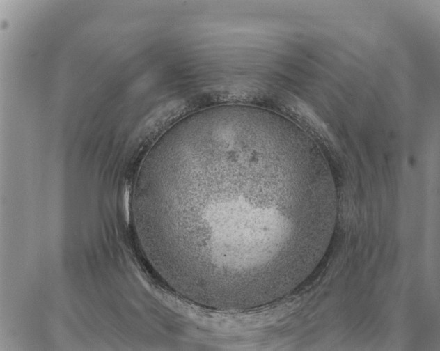 X0000086930022200704231342