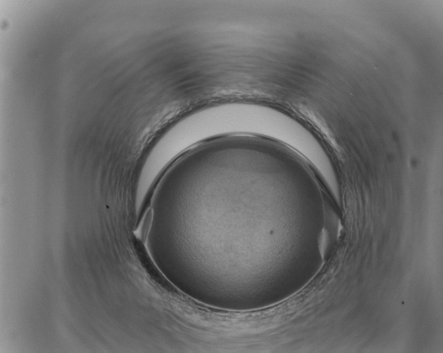 X0000086930023200704231342