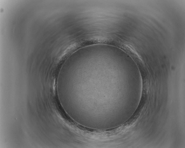 X0000086930024200704231342