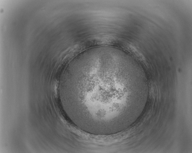 X0000086930026200704231342