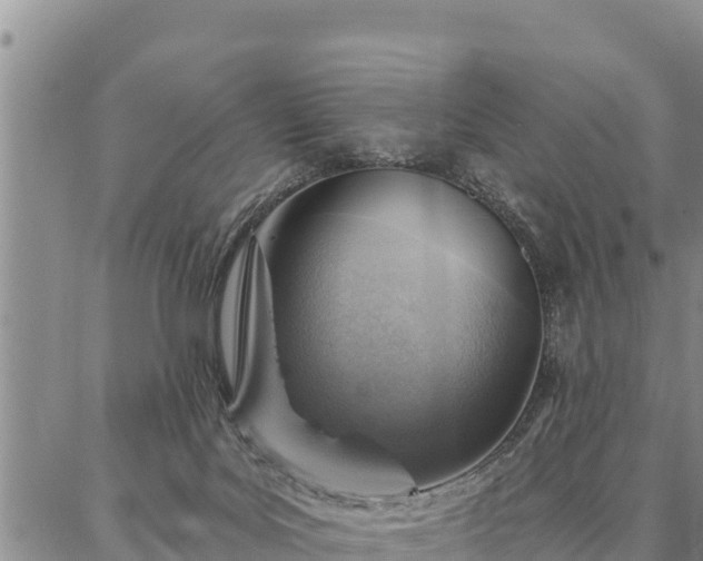 X0000086930027200704231341