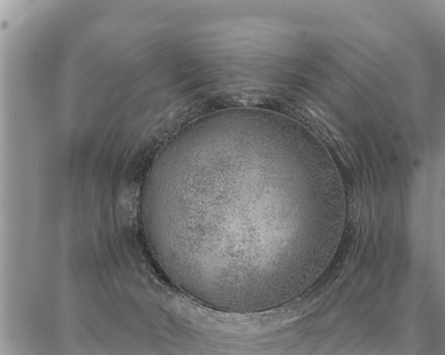 X0000086930030200704231341