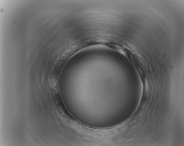 X0000086930031200704231341