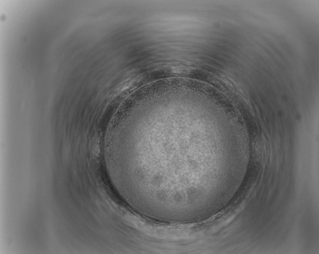 X0000086930032200704231341