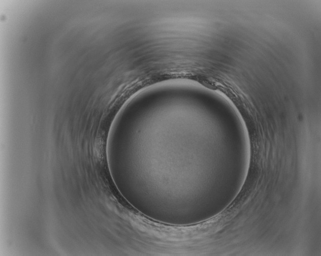 X0000086930035200704231341