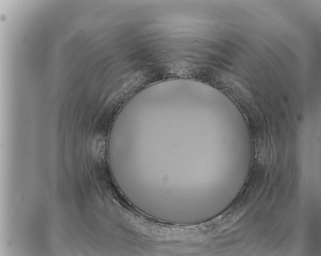 X0000086930036200704231341