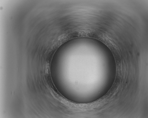 X0000086930038200704231341