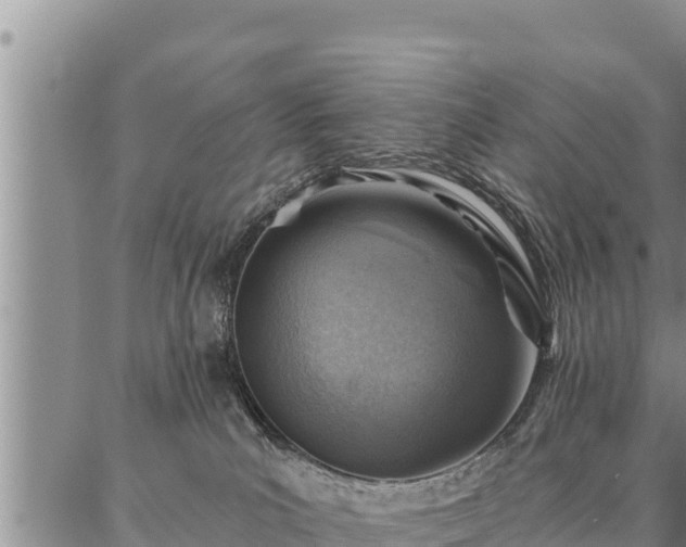 X0000086930039200704231341