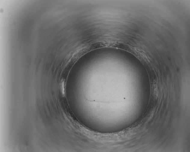 X0000086930042200704231341